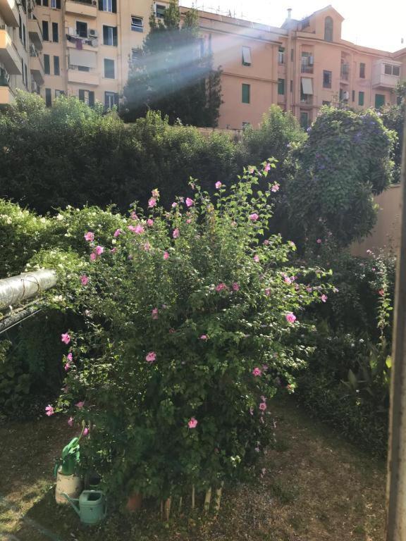 Cris - Close To Vatican - Centre&stadiumarea Apartment Rome